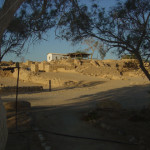 Telbuilding  Biblical Tamar Park