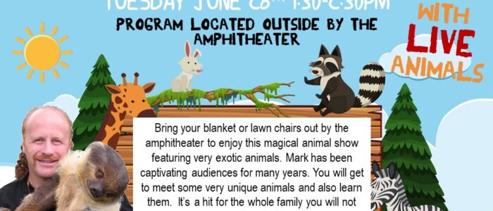 Animal Magic – Summer Reading Program