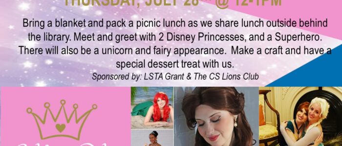 Picnic with Princesses and Superhero – Summer Reading Program